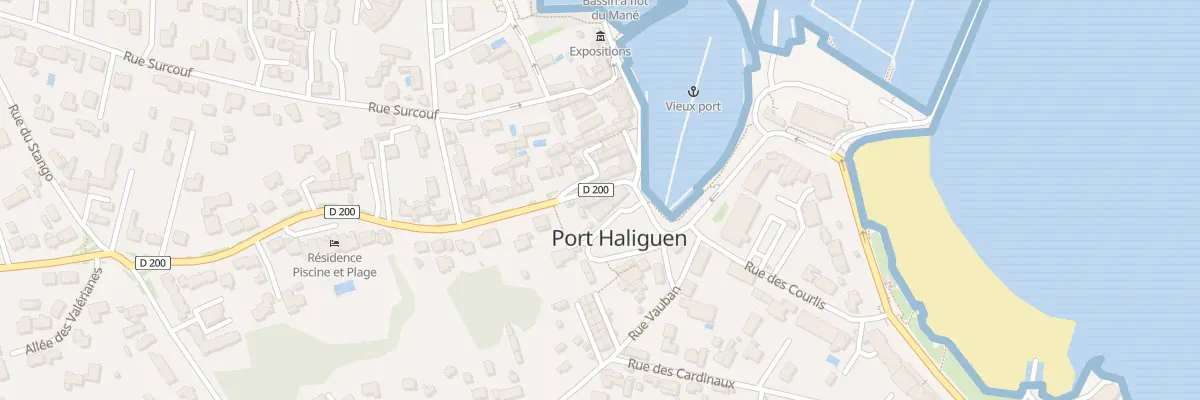 Plan du 124 Rue de Port-Haliguen à Quiberon