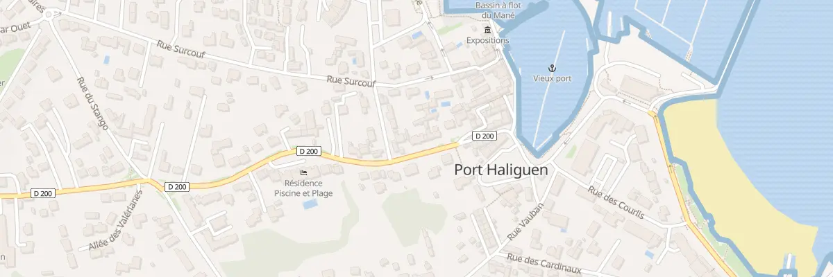 Plan du 163 Rue de Port-Haliguen à Quiberon