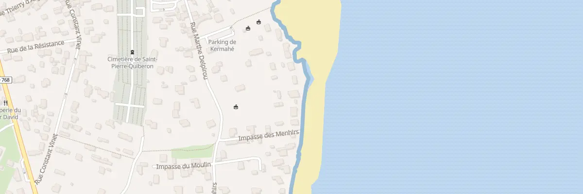 Plan du 195 Rue Marthe Delpirou à Saint-Pierre-Quiberon
