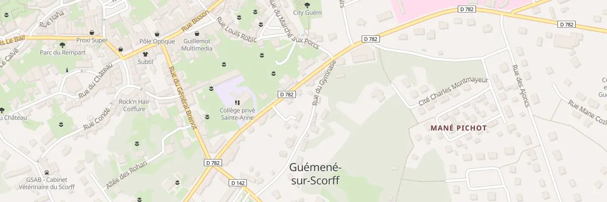 Plan du 21 Rue Fortune à Guémené-sur-Scorff