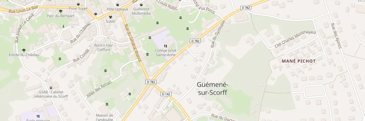 Plan du 9 Rue Fortune à Guémené-sur-Scorff