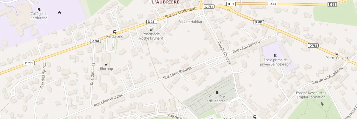 Plan du 20 Rue Léon Breurec à Riantec
