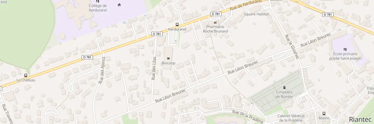 Plan du 40 Rue Léon Breurec à Riantec