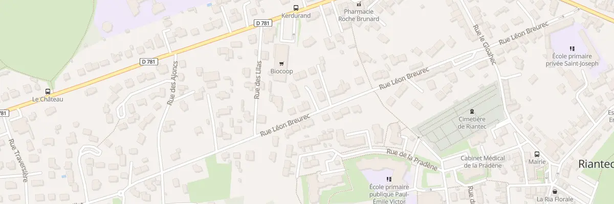 Plan du 50 Rue Léon Breurec à Riantec