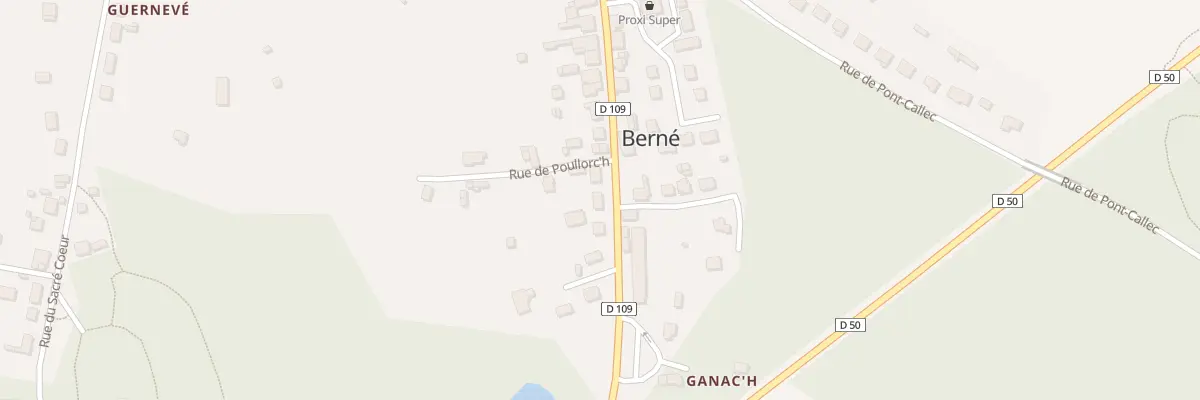 Plan du 29 Rue du Commerce à Berné
