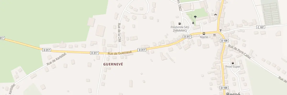 Plan du 21 Rue de Guernevé à Berné