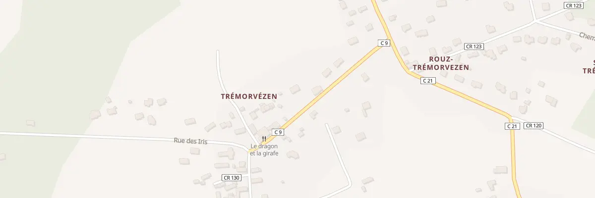 Plan du 20 Tremorvezen à Névez