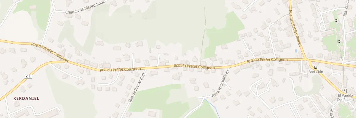 Plan du 52 Rue du Prefet Collignon à Douarnenez