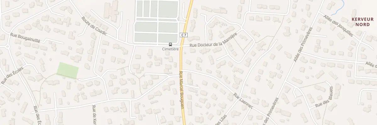 Plan du 29 Rue Laënnec à Plabennec
