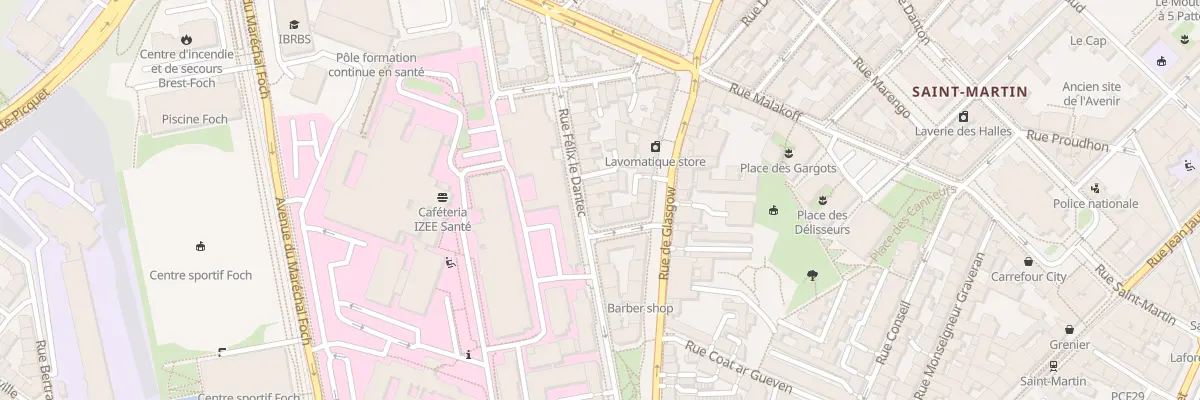 Plan du 21 Rue Félix le Dantec à Brest