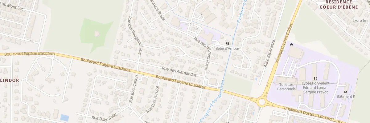 Plan du 303 Rue des BOUGAINVILLIERS à Remire-Montjoly