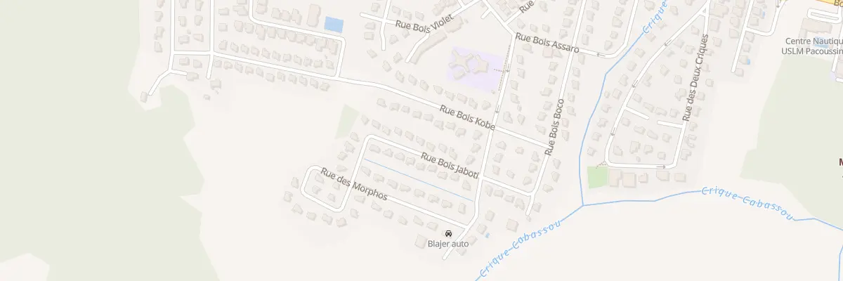 Plan du 19 Rue BOIS JABOTI à Remire-Montjoly