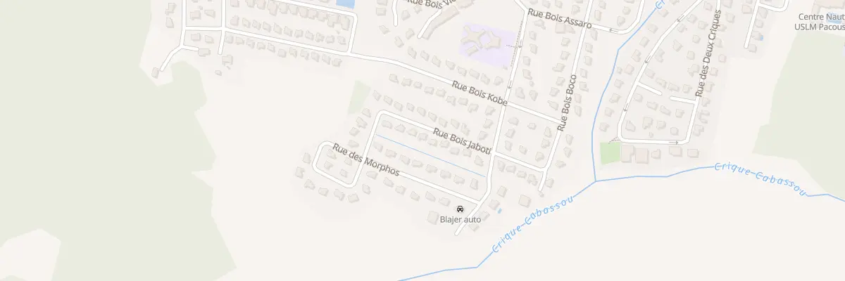 Plan du 36 Rue BOIS JABOTI à Remire-Montjoly