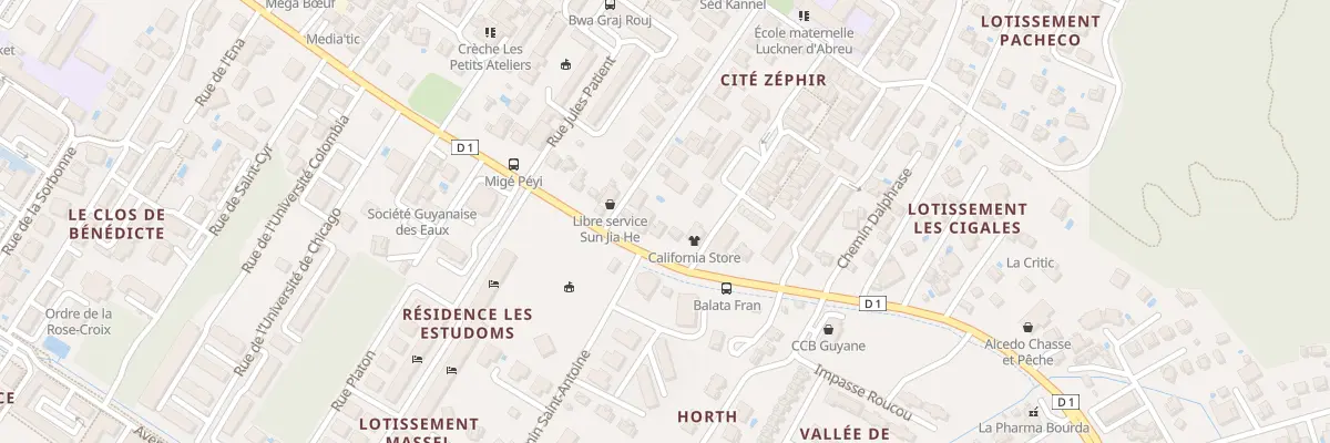 Plan du 2989 Rte de Montabo (D1) à Cayenne