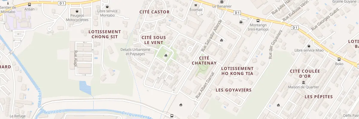 Plan du 49 Rue Salvador Allende à Cayenne