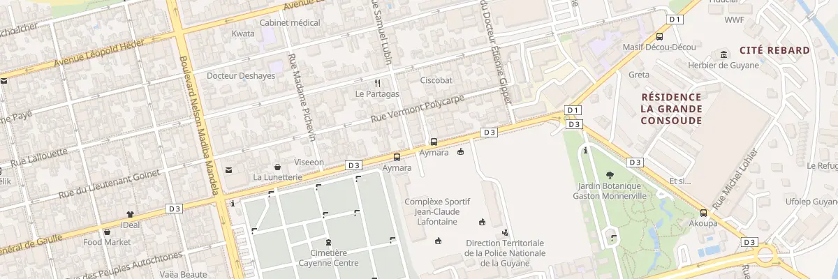 Plan du 21 Rue Samuel Lubin à Cayenne