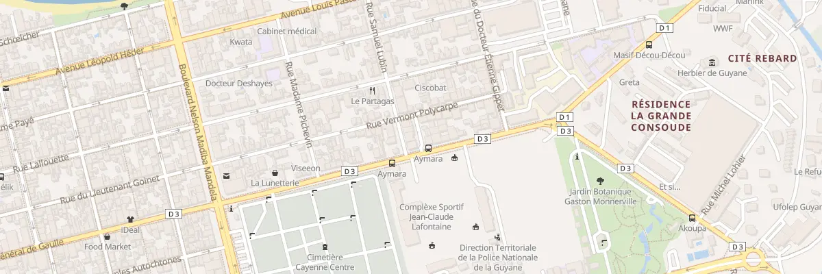 Plan du 19 Rue Samuel Lubin à Cayenne
