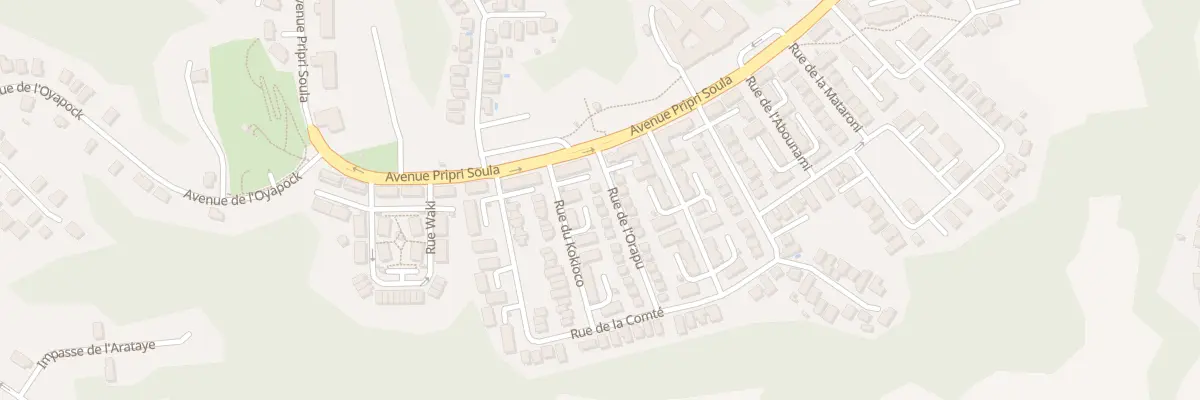 Plan du 19 Rue de l’ORAPU à Macouria