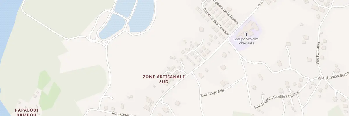 Plan de la Rue POTI SOULA à Maripasoula