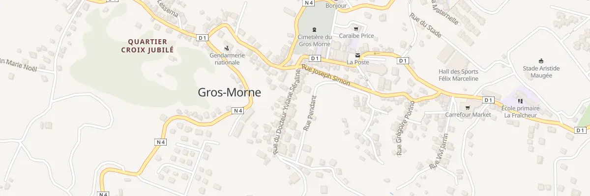 Plan du 21 Rue Victor Schoelcher à Gros-Morne