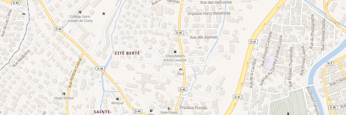 Plan du 21 Rue Professeur Raymond Garcin à Fort-de-France