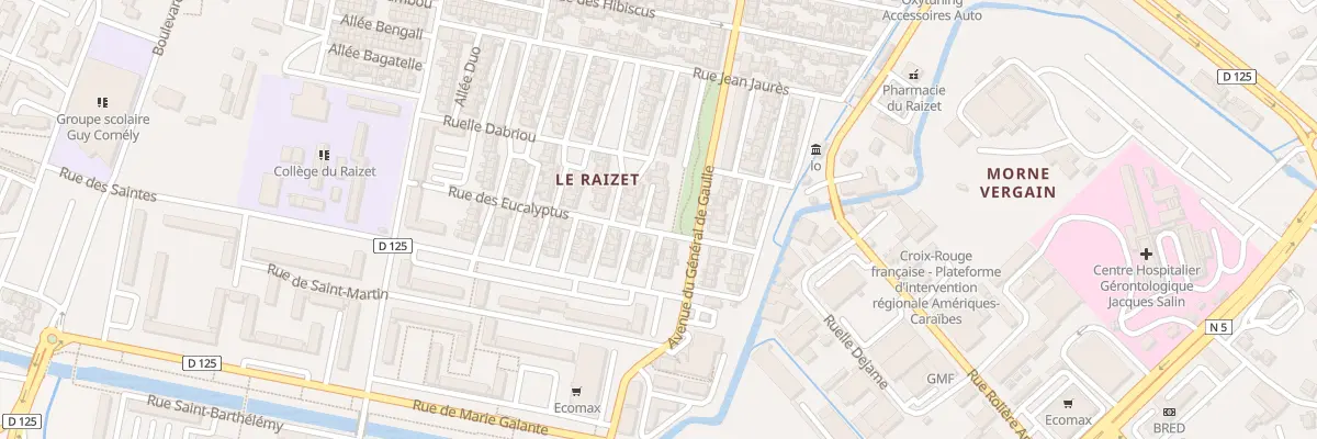 Plan du 33 Rue des Eucalyptus aux Abymes