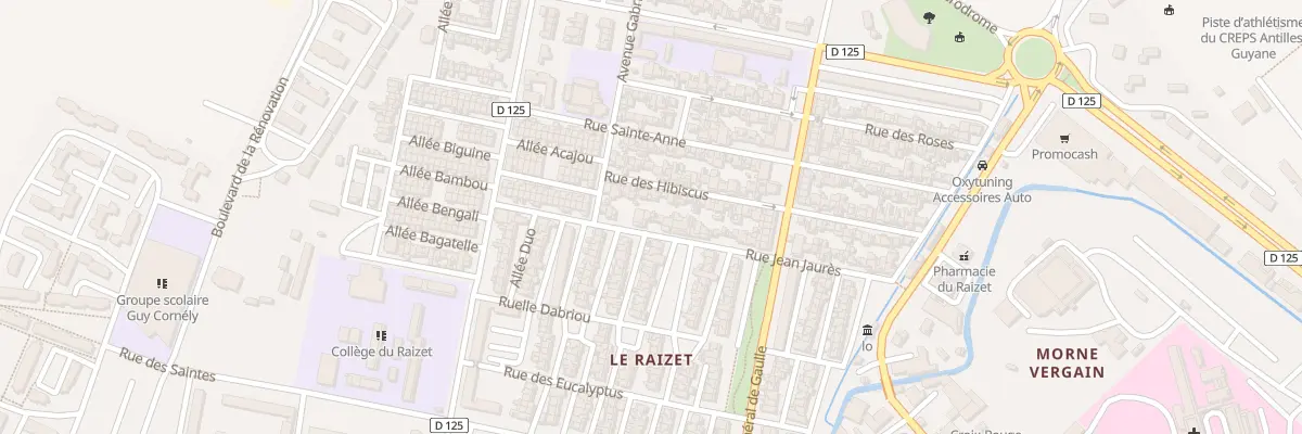 Plan du 45 Rue Jean Jaurès aux Abymes