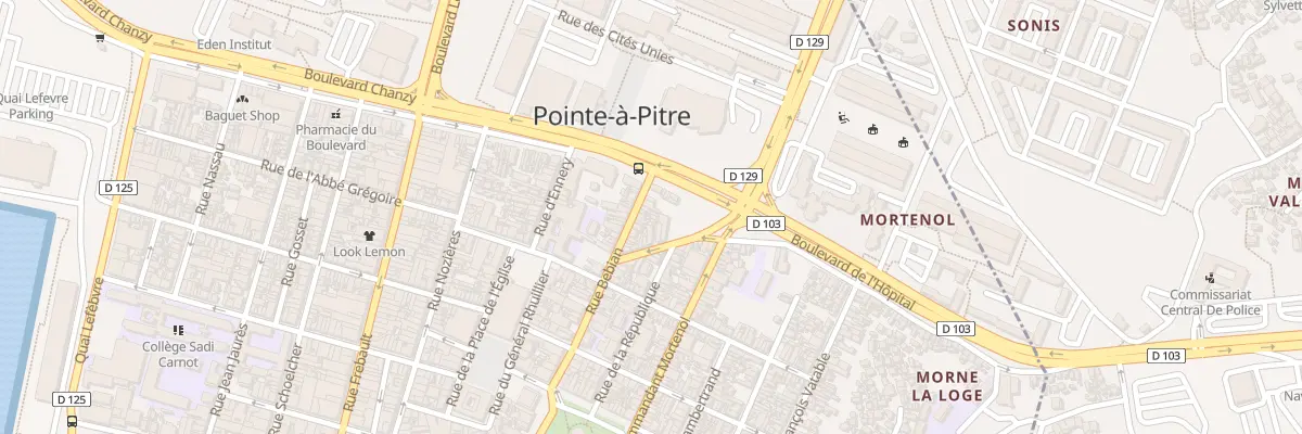 Plan du 37 Rue Bebian à Pointe-à-Pitre