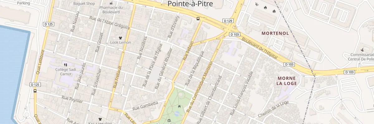 Plan du 9 Rue Bebian à Pointe-à-Pitre