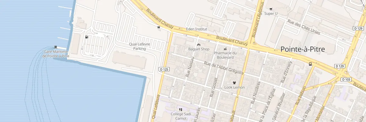 Plan du 48 Rue de l’Abbe Gregoire à Pointe-à-Pitre