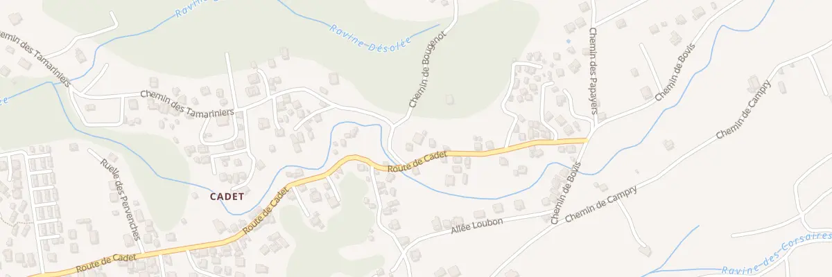 Plan du 1307 Rte de Cadet à Baillif