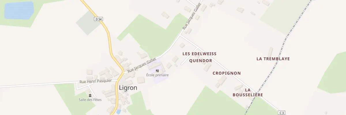 Plan du 14 Rue Jacques Gallet à Ligron