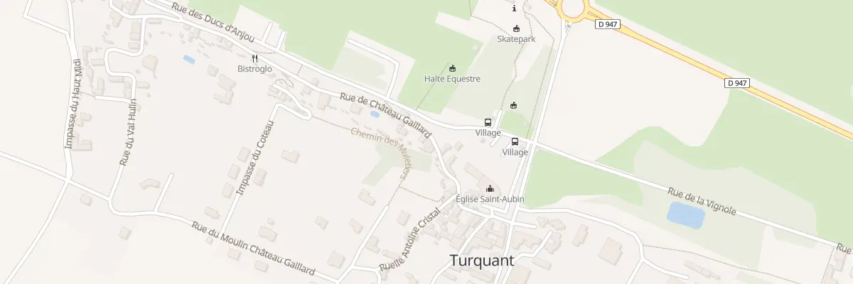 Plan du 1T Rue de Chateau Gaillard à Turquant