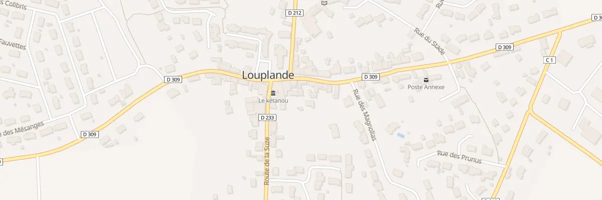 Plan du 12 Rte du Mans à Louplande