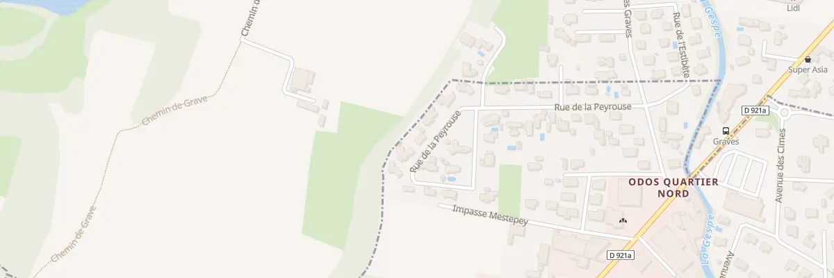 Plan du 22 Rue de la Peyrouse à Odos