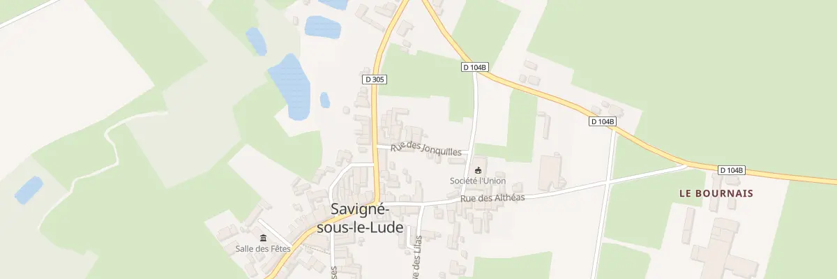 Plan du 7 Rue des Jonquilles à Savigné-sous-le-Lude