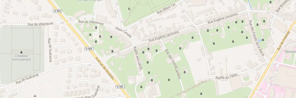 Plan du 111 Rue Eugène Lecointre à Alençon