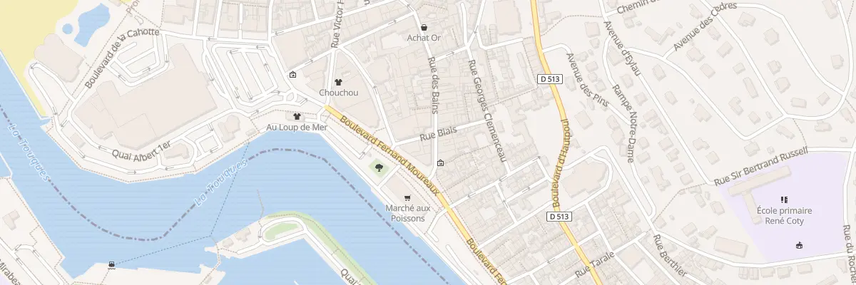 Plan du 8 Rue Biais à Trouville-sur-Mer