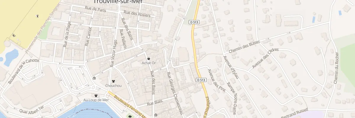 Plan du 17 Rue Docteur Galezowski à Trouville-sur-Mer