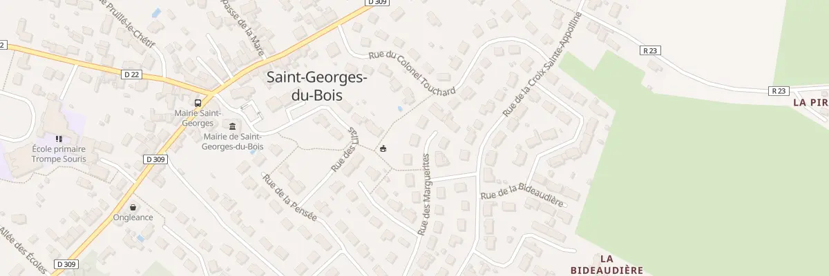 Plan du 19 Rue des Marguerites à Saint-Georges-du-Bois