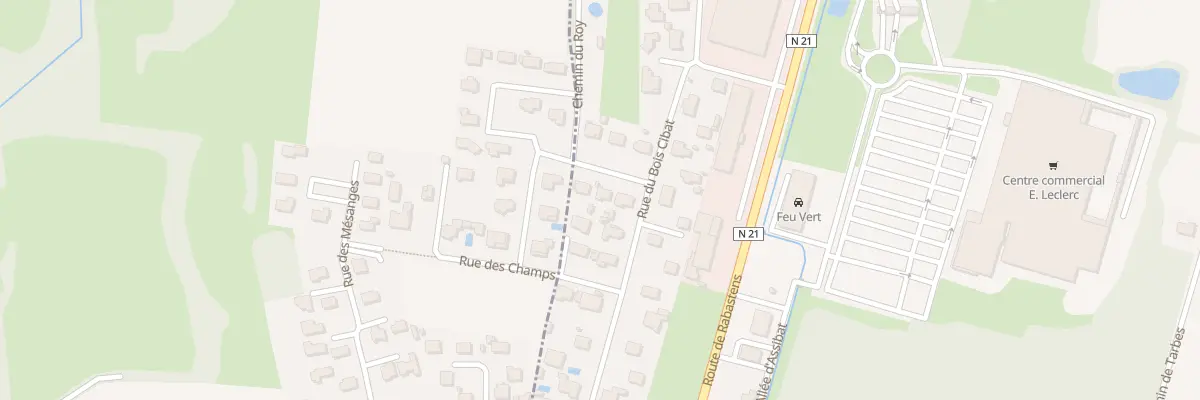Plan du 51 Rue du Bois Cibat à Orleix