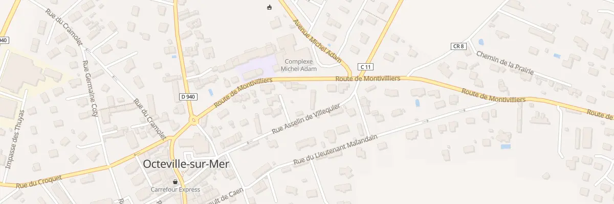 Plan du 19 Rue Asselin de Villequier à Octeville-sur-Mer