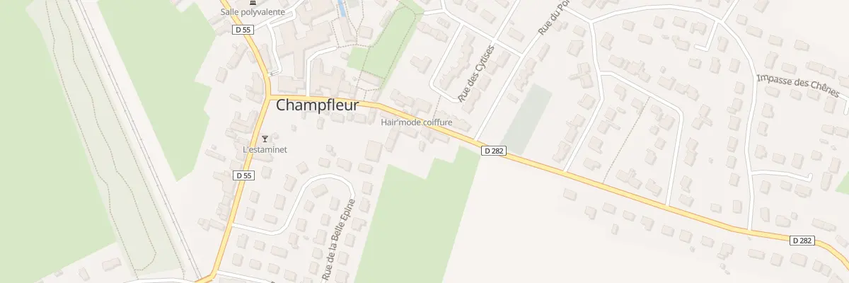 Plan du 14 Rue des Vignes à Champfleur
