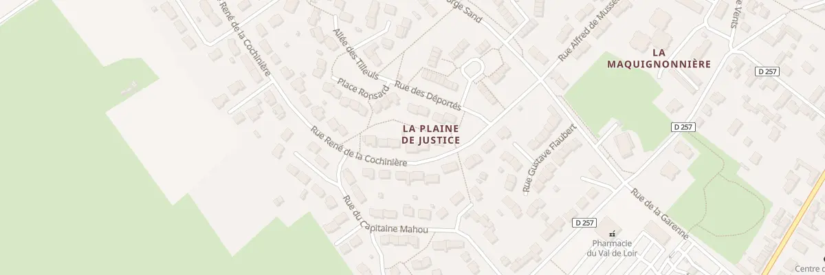 Plan du 6 Rue Rene de la Cochiniere au Lude