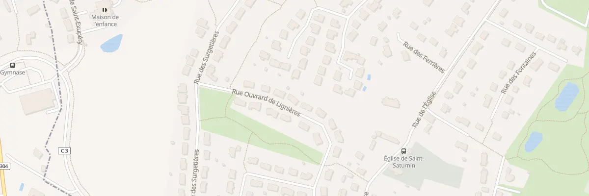 Plan du 8 Rue Ouvrard de Lignières à Saint-Saturnin