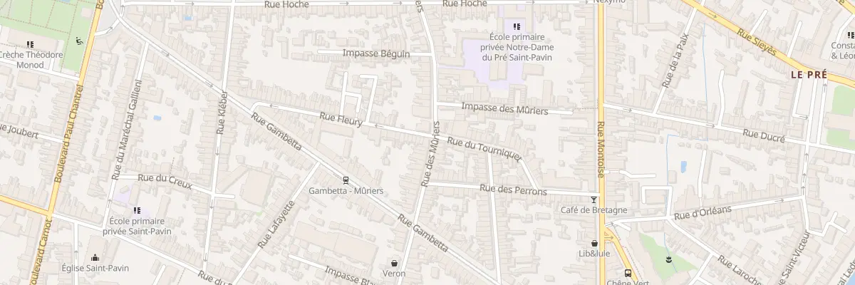 Plan du 71 Rue des Muriers au Mans
