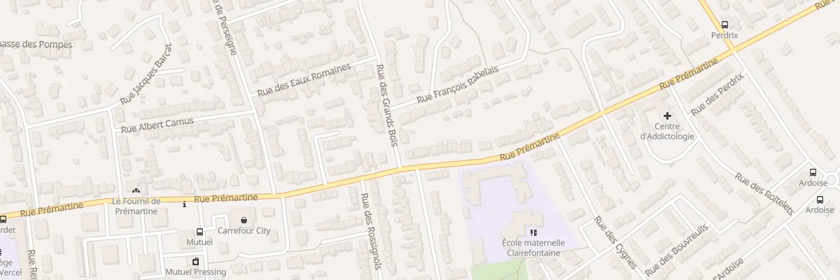 Plan du 259 Rue Prémartine au Mans