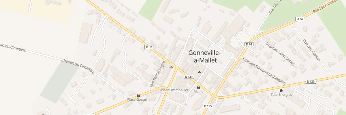Plan du 19 Rue du Capitaine Gosselin à Gonneville-la-Mallet