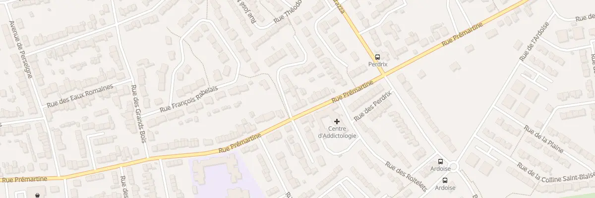 Plan du 307 Rue Prémartine au Mans