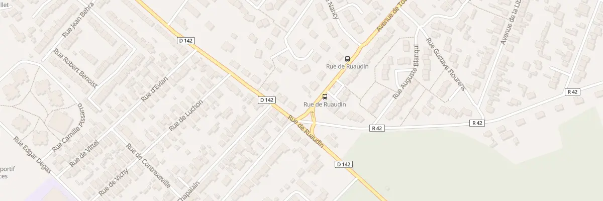 Plan du 317 Rue de Ruaudin au Mans